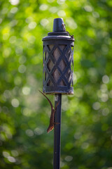 Citronella lantern in front of a green hedge with a brown anole lizard.