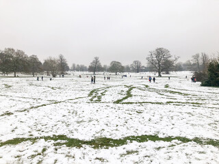 Prospect Park in Reading, UK covered with snow in the middle of winter.