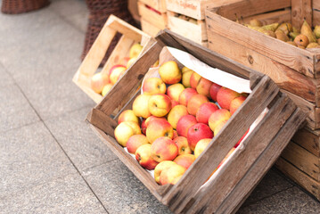 Selling harvest of apples and pears in boxes on the eco market.