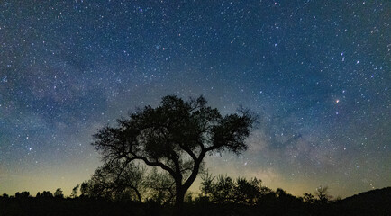 Obraz na płótnie Canvas starry night sky Milky Way 