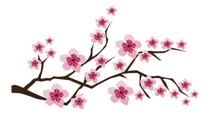vector blossom branches