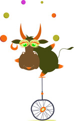 Equilibrist cow rides on the unicycle and juggles the balls illustration. Cute cow balances on the unicycle and juggles the balls isolated on white  © bigmen