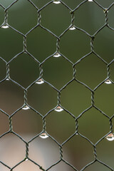 background of hexagon-shaped metal wire fence with water drops trap on the cross-sections