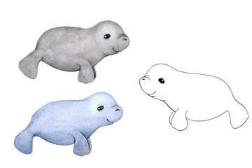 Cute baby manatee. Cartoon character isolated on white. Coloring book. Element for children's design.