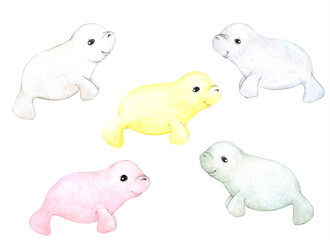 Cute little manatees in different colors. Watercolor illustration isolated on white background. For children's decor and decoration.