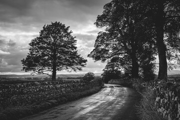 road in the hills