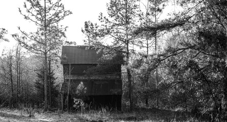 Old southern farm houses and equipment