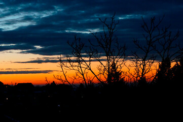 Sunset Clouds and Wood