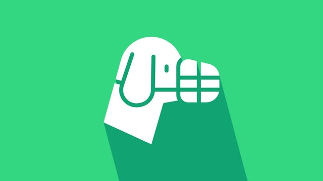 White Dog in muzzle icon isolated on green background. Accessory for dog. 4K Video motion graphic animation