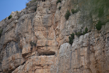 A vulture sitting on the rock in the Gudar mountain range Teruel Aragon Spain.