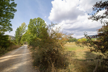 Summer landscape in Gudar mountain range Teruel province Aragon Spain