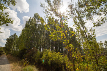 Summer landscape in Gudar mountain range Teruel province Aragon Spain