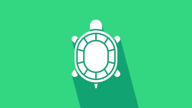 White Turtle icon isolated on green background. 4K Video motion graphic animation