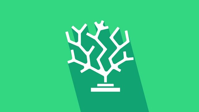 White Coral icon isolated on green background. 4K Video motion graphic animation