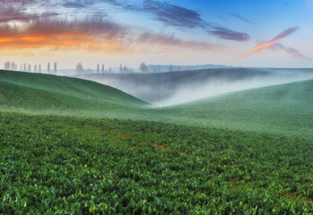 picturesque clouds over a hilly field. dramatic sky over rural landscape