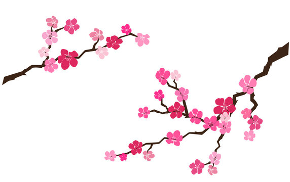 Apple or cherry flowers, branch  blossom in spring, silhouette of twig with flowers, flat style, brown, red and pink color, isolated on white background