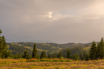Summer nature landscape of Karpaty Mountains. a