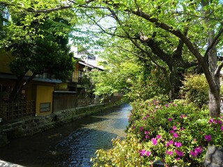 Quartier fleuri de shimbashi &agrave; Kyoto et sa rivi&egrave;re