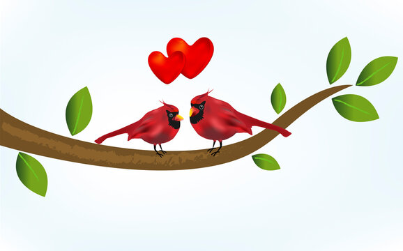 Cardinal bird in love on a branch tree. Happy Valentines concept love hearts vector image background template