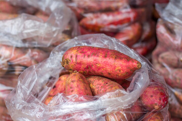 Sweet potatoes piled for market