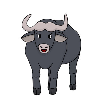 Cute Gray dark cartoon African buffalo stands and looks. Animal is isolated on white background
