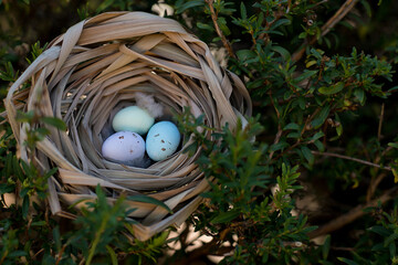 Easter eggs lie in the nest on a green bush