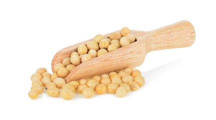 soy bean isolated on white background