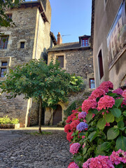 A bunch of colorful flowers in a sunny day. Vegetation in a medieval village. Small stone houses with flowers.