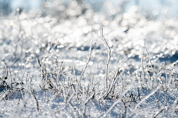 shapeless frozen grass. Winter. Blurred background