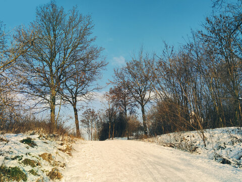winter landscape with forest, trees covered snow and clouds, blue sky