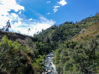Río entre los árboles de las colinas a su alrededor