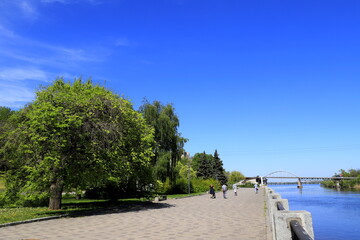 embankment by the river, summer street, boulevard with large green trees against the blue sky. Spring street, Dnipro, Dnepropetrovsk, Ukraine