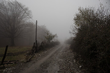 Obraz premium Landscape with beautiful fog in forest on hill or Trail through a mysterious winter forest with autumn leaves on the ground. Road through a winter forest. Magical atmosphere.