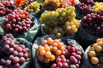 Stacks of green and red/purple grapes exposed in open air with the sun lighting up the fruits that is selling in a market place. The fruits are full of vitamins and good for diet.
