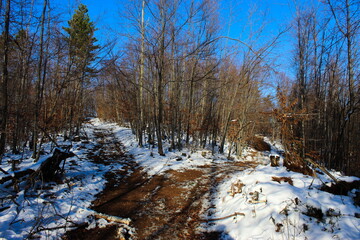Forest road in winter. Road covered with white snow. The winter sun is trying to melt the snow. Intersection.