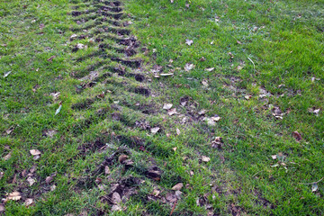 Big tire tracks on grass