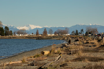  Beach and ocean with snow cap mountains