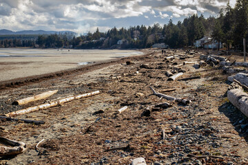 Rathtrevor beach with drift wood log.