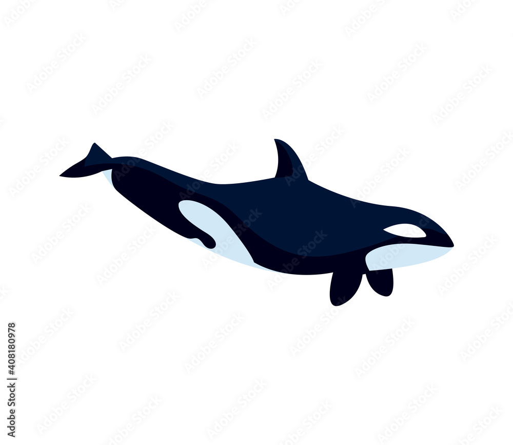 Sticker orca whale north pole animal icon isolated style