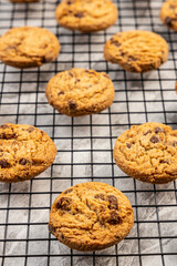 freshly baked Chocolate chip cookies on a marble countertop. Copy space.