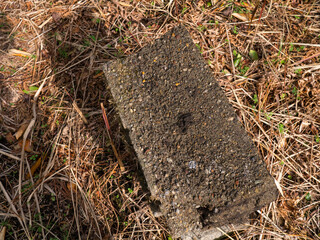 コンクリート　ブロック