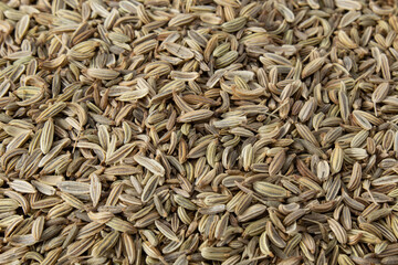 Texture with fennel or anise seeds