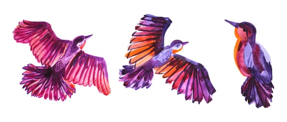 Fototapete Schmetterlinge Stellen Sie Aquarell ein, das lila, rosa, orange abstrakten Vogel lokalisiert auf weißem Hintergrund fliegt. Handgezeichnetes kreatives Tierobjekt der Kunst für Karte, Tapete, Verpackung, Aufkleber, Textil