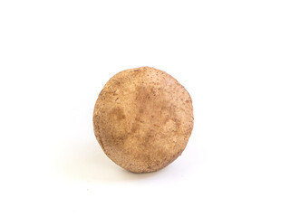 Fototapeta premium Shiitake mushroom on white background. One mushroom isolated picture. Popular vegetable for cooking.