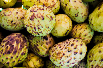 Multiples green raw pineapple-fruits grouped
