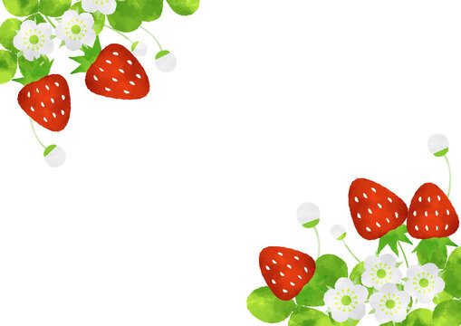 Best コーナーフレーム Images Stock Photos Vectors Adobe Stock