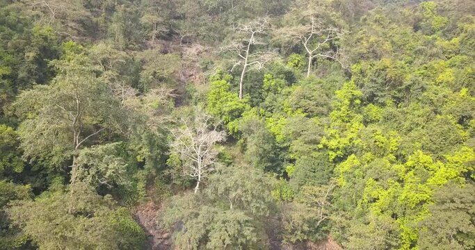 Green Lush Foliage On The Mountains Of Mainapi Waterfall In Netravali Taluka Of South Goa, India. - Aerial Pullback Shot