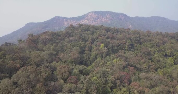 Drone Fly Over Dense Foliage On The Forest Park In Canacona Taluka, South Goa, India. - Aerial Drone Shot