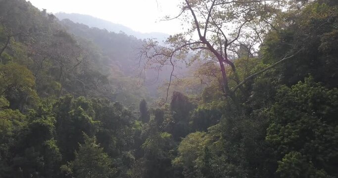 Shaggy Jungle Landscape At The Valley Of Mainapi Waterfall In Cotigao Wildlife Sanctuary, Netravali, South Goa, India. - Aerial Shot