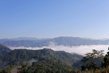 Sea of fog is covering forest. Sea of ​​mist at Nan Province, Thailand.
